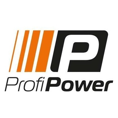 ProfiPower 12V 95Ah 800A PP-950