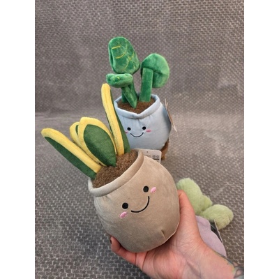 Plyšová pokojová květina sansevieria