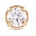 Daniel Wellington DW00400869