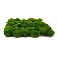 Dekoračný stabilizovaný mach sobia 0,5 kg, trávovo zelený