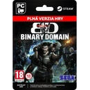 Binary Domain