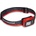 Black Diamond Astro 300 (BD6206748001ALL1)