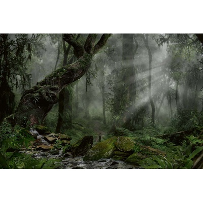 DIMEX ART Флизелинов фототапет гора в тъмнина 375 x 250 см