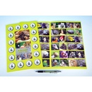 Kartové hry Teddies Pexeso ZOO II