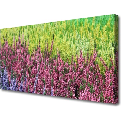 Obraz na plátně Květ Rostlina Příroda 100x50 cm