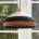 Forestier 21620