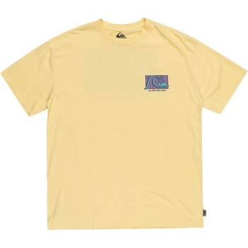 Quiksilver Take Us Back Bubble