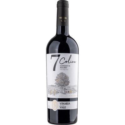 Vinaria Din Vale Saperavi Malbec bílé Suché Červené 2022 13,81% 0,75 l (holá láhev)