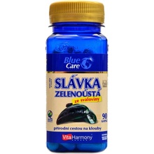 VitaHarmony Slávka zelenoústá 540 mg 90 tablet