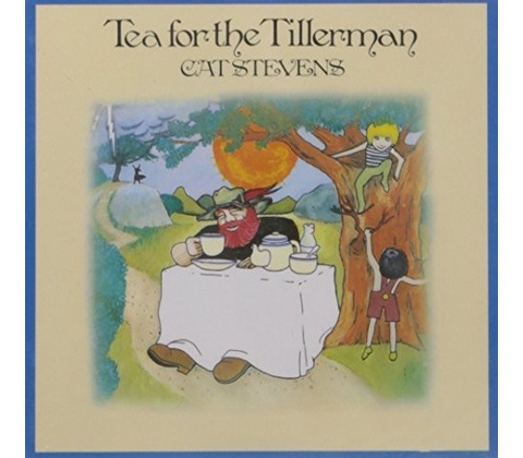 STEVENS CAT: TEA FOR THE TILLERMAN CD