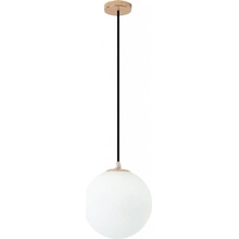 Toolight APP1249-1CP