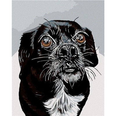 zuty malování podle čísel Černobílý oříšek 80 x 100 cm vypnuté plátno na rám