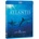 ATLANTIS BD