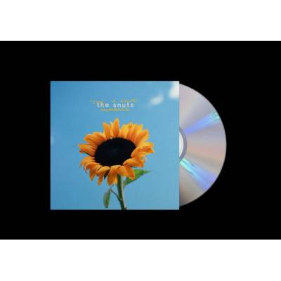 The Snuts - JOY IN SHORT MOMENTS CD