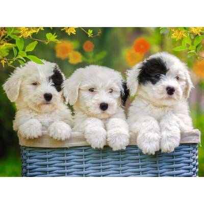 Ravensburger - Puzzle Cuddly Puppies 200 XXL - 200 piese