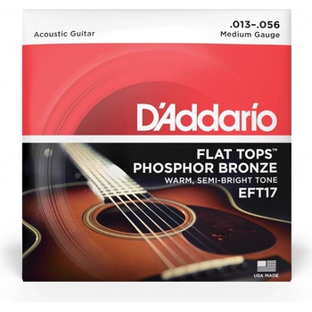 D'addario EFT17