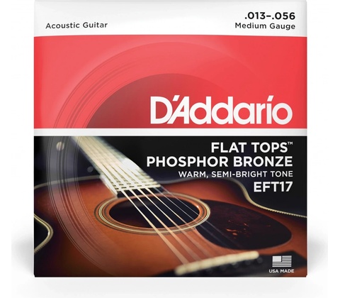 D'addario EFT17