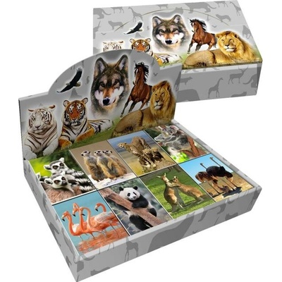 DONAU Miniblok Divé zvieratá 3D 6 4x8 25cm mix motívov display 80 ks