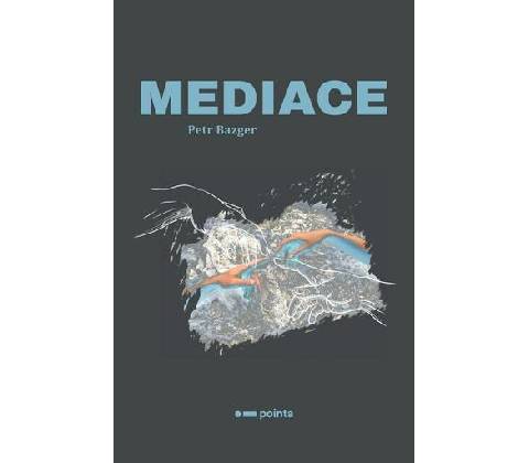 Mediace
