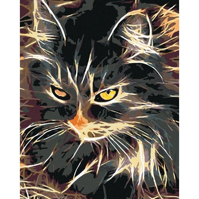 Zuty Malování podle číselNádherně dvoubarevná kočka 80 x 100 cm vypnuté plátno na rám 8596530005797