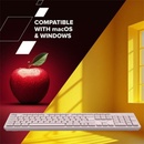 Canyon CNS-HKBW01BL-CS