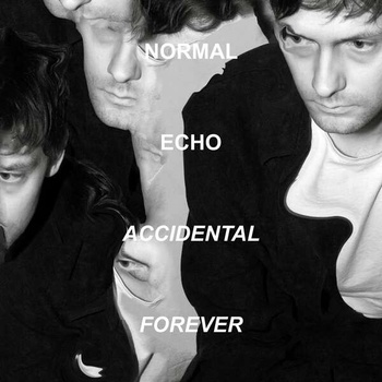 Normal Echo - ACCIDENTAL FOREVER Vinyl