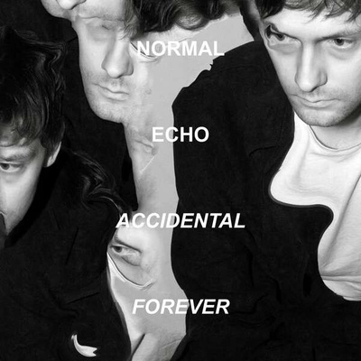 Normal Echo - ACCIDENTAL FOREVER Vinyl