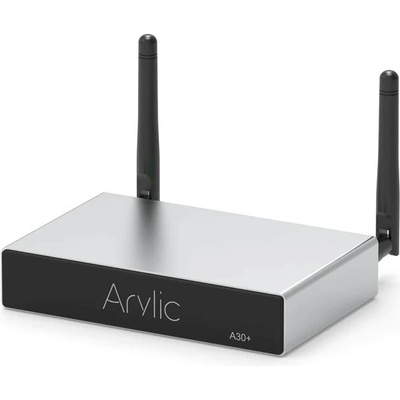 Arylic A30+