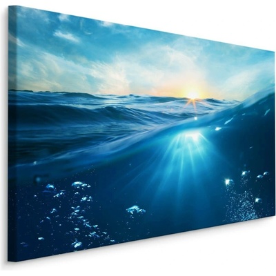 Plátno Podmořský Svět Varianta: 70x50