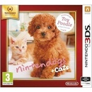 Hry na Nintendo 3DS Nintendogs + Cats - Toy Poodle and New Friends