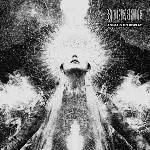 Stonebride - Animals On Display (LP) (3858890352405)