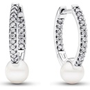 Pandora 293171C01