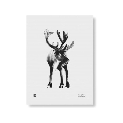 Plakát Reindeer 30x40 cm Teemu Järvi Illustrations