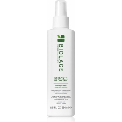 Biolage Strength Recovery Strenght Recovery posilující sprej pro poškozené vlasy 250 ml