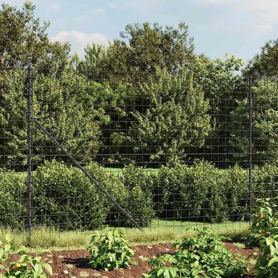 OMAXI Drátěný plot s kotevními hroty antracitový 1,6 x 25 m 780258