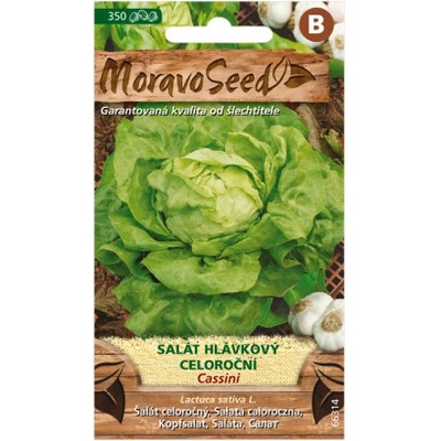 MORAVOSEED Salát hlávkový celoroční CASSINI