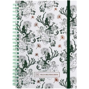  Тетрадка Axent OS Green birds A5 80 л. сп. тв. к (A5 80)