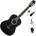 Pasadena PC-10 Standard SET 4/4 Black Класическа китара