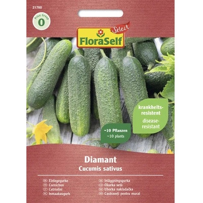 Okurka nakládačka Diamant FloraSelf Select F1 hybrid