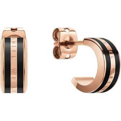 Daniel Wellington Обици Daniel Wellington (DW00400310)
