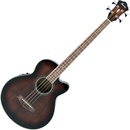 Ibanez AEB 10E