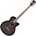 Ibanez AEB 10E