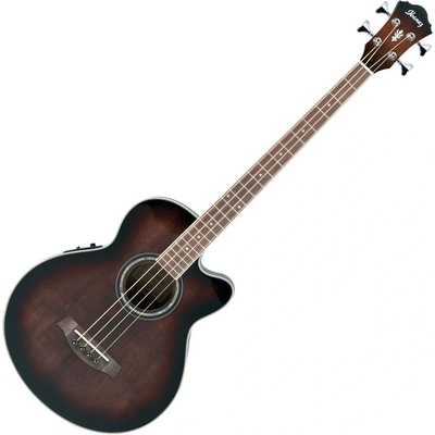 Ibanez AEB 10E