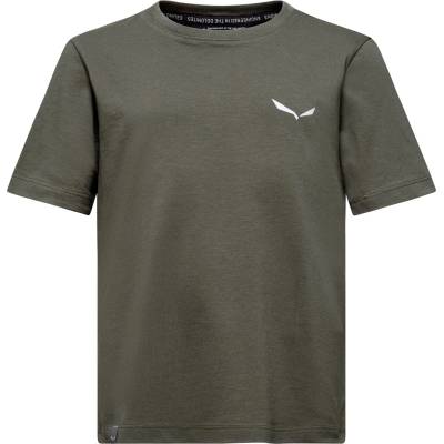 Salewa Детска тениска Salewa Kid's Graphic T-Shirt - Faded Green - размер 104 (EU) (704-5543-0212)
