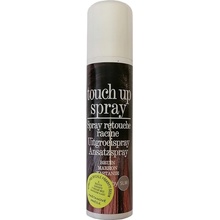 Trend ptouch up spray gaštanovo hnedá sprej na krytie šedín a odrastov 75 ml