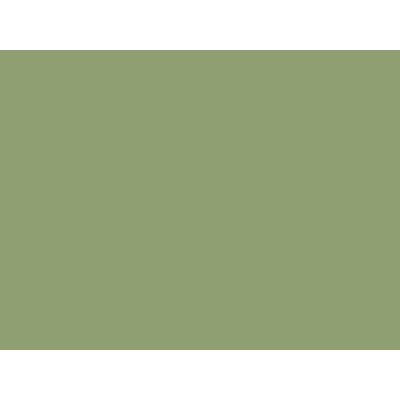 Farrow & Ball Barva Estate Emulsion 100 ml No.287 Yeabridge Green