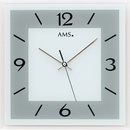 AMS 9573