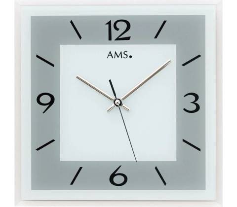 AMS 9573