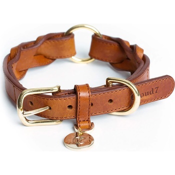 Cloud7 Hyde Park obojok