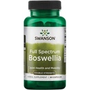 Swanson Boswellia Double Strenght 800 mg 60 kapsúl